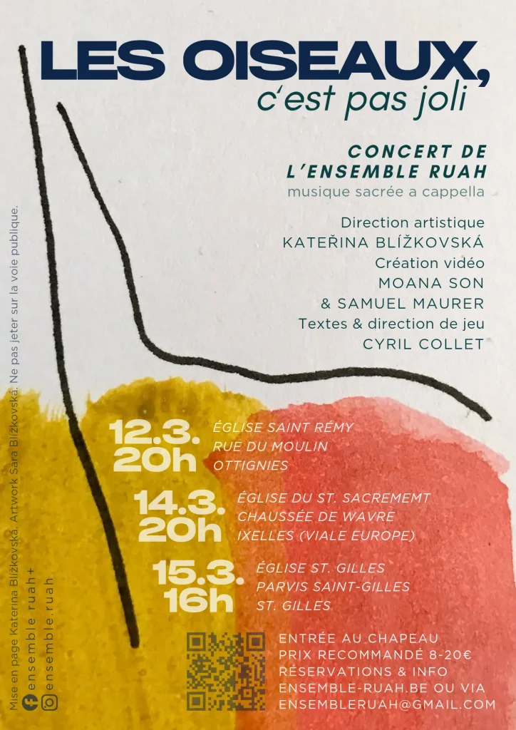 Affiche du concert "Les oiseaux, c'est pas joli"